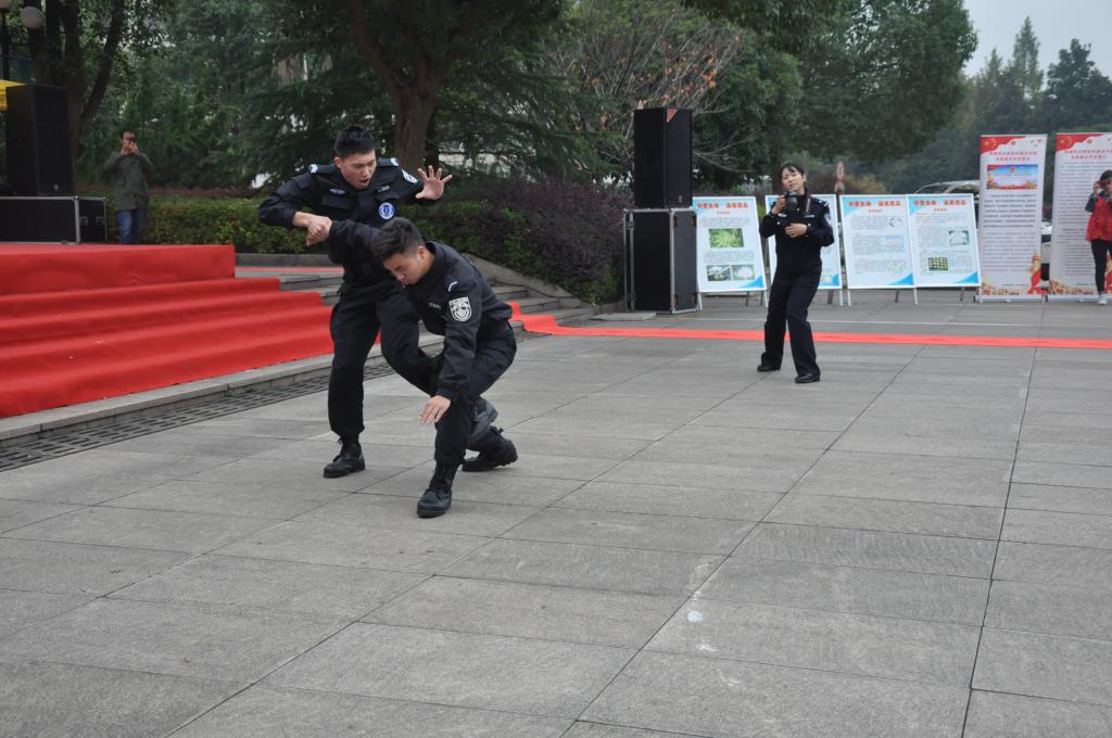 图片14